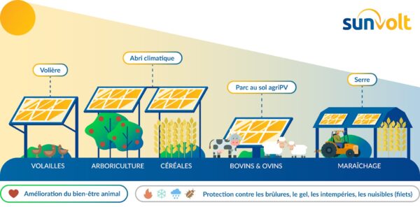 Agrivoltaïsme : Pourquoi et comment valoriser son patrimoine foncier avec une centrale solaire au sol ? 6 type d'agrivoltaïsme